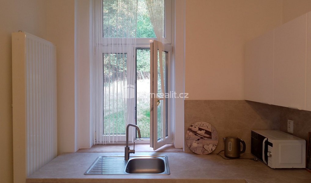 Pronájem bytu 1+1 39 m², Karlovy Vary – náhled fotky 4
