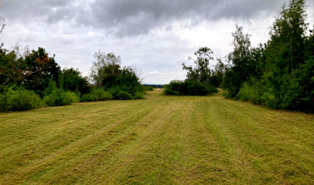 Prodej pozemku 5 606 m², Číčovice – náhled fotky 8