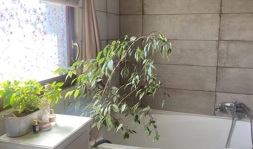 Prodej domu 70 m² s pozemkem 873 m², Jivina – náhled fotky 7
