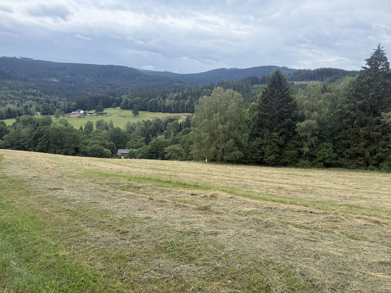 Prodej louky 84 928 m² – fotografie 2