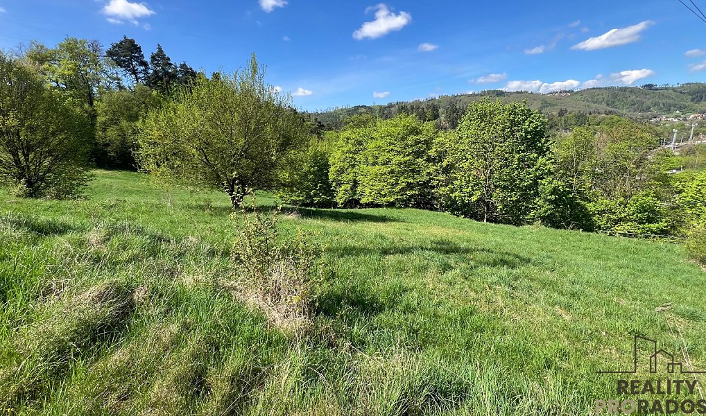 Prodej pozemku 10 598 m², Blansko – náhled fotky 4