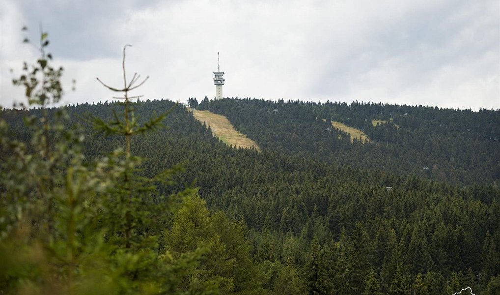Prodej domu 240 m² s pozemkem 721 m², Loučná pod Klínovcem – náhled fotky 30