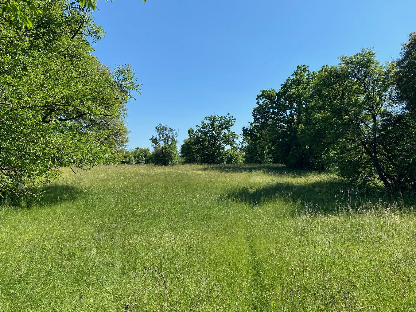 Prodej stavebního pozemku 4 210 m²