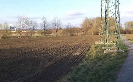Dražba louky 508 m², Pravčice