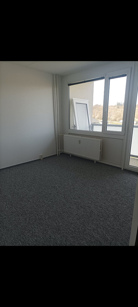 Pronájem bytu 3+1 76 m² — photo 5