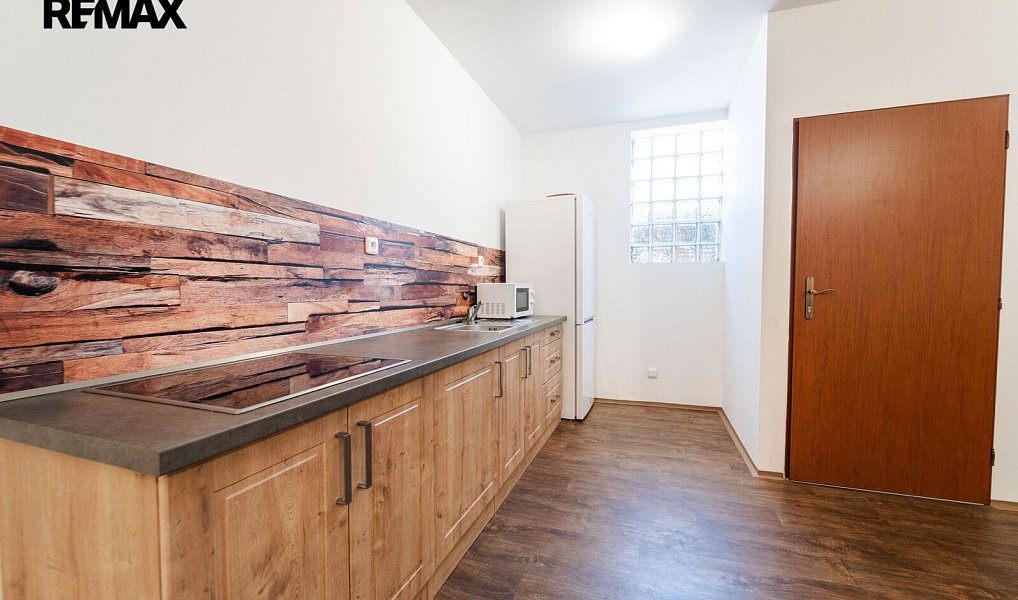 Prodej domu 248 m² s pozemkem 672 m², Dolní Věstonice – náhled fotky 11