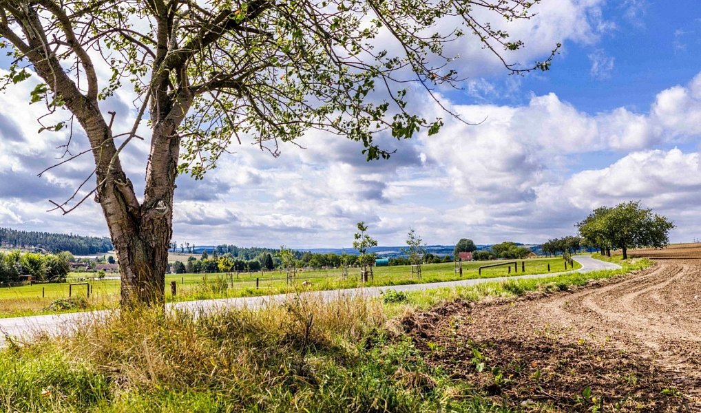 Prodej stavebního pozemku 712 m², Milínov – náhled fotky 27