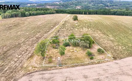 Prodej stavebního pozemku 3 633 m², Ošelín, okres Tachov