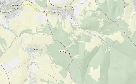 Dražba lesa 1 282 m², Pitín