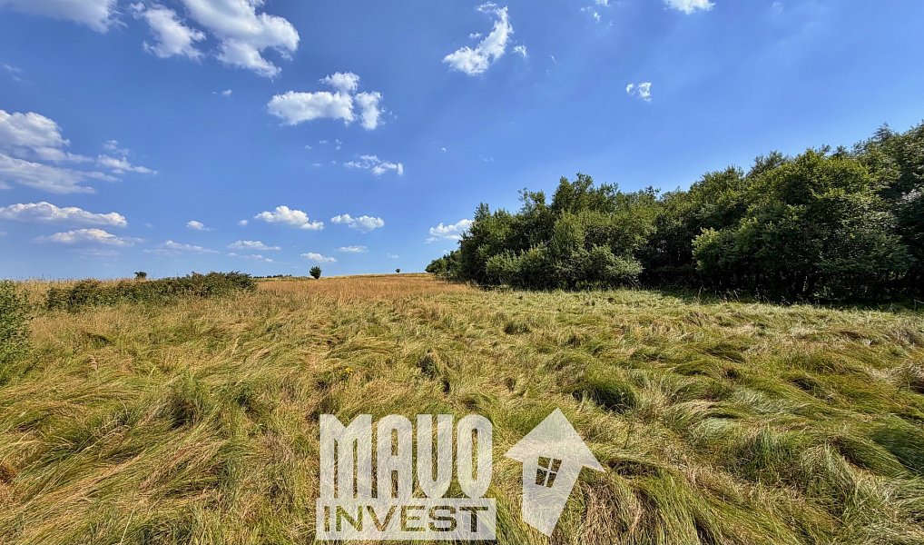 Prodej louky 118 619 m², Petrovice – náhled fotky 6