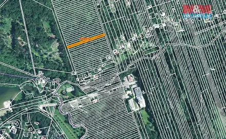 Prodej lesa 953 m², Kněždub, okres Hodonín