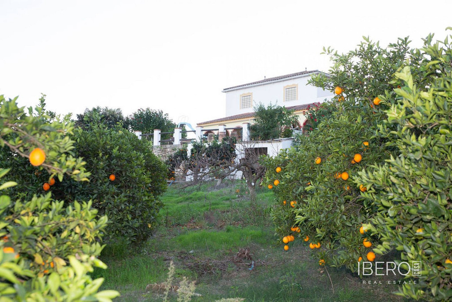Prodej domu 238 m² s pozemkem 4 146 m² — photo 5
