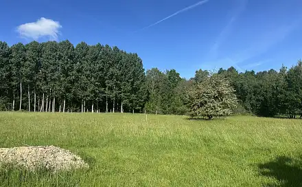 Prodej pozemku 37 713 m², Varnsdorf, okres Děčín