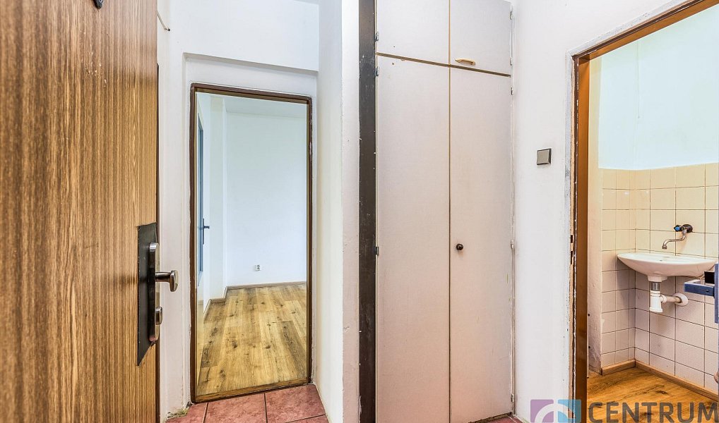 Prodej bytu 1+1 46 m², Mladá Boleslav – náhled fotky 7