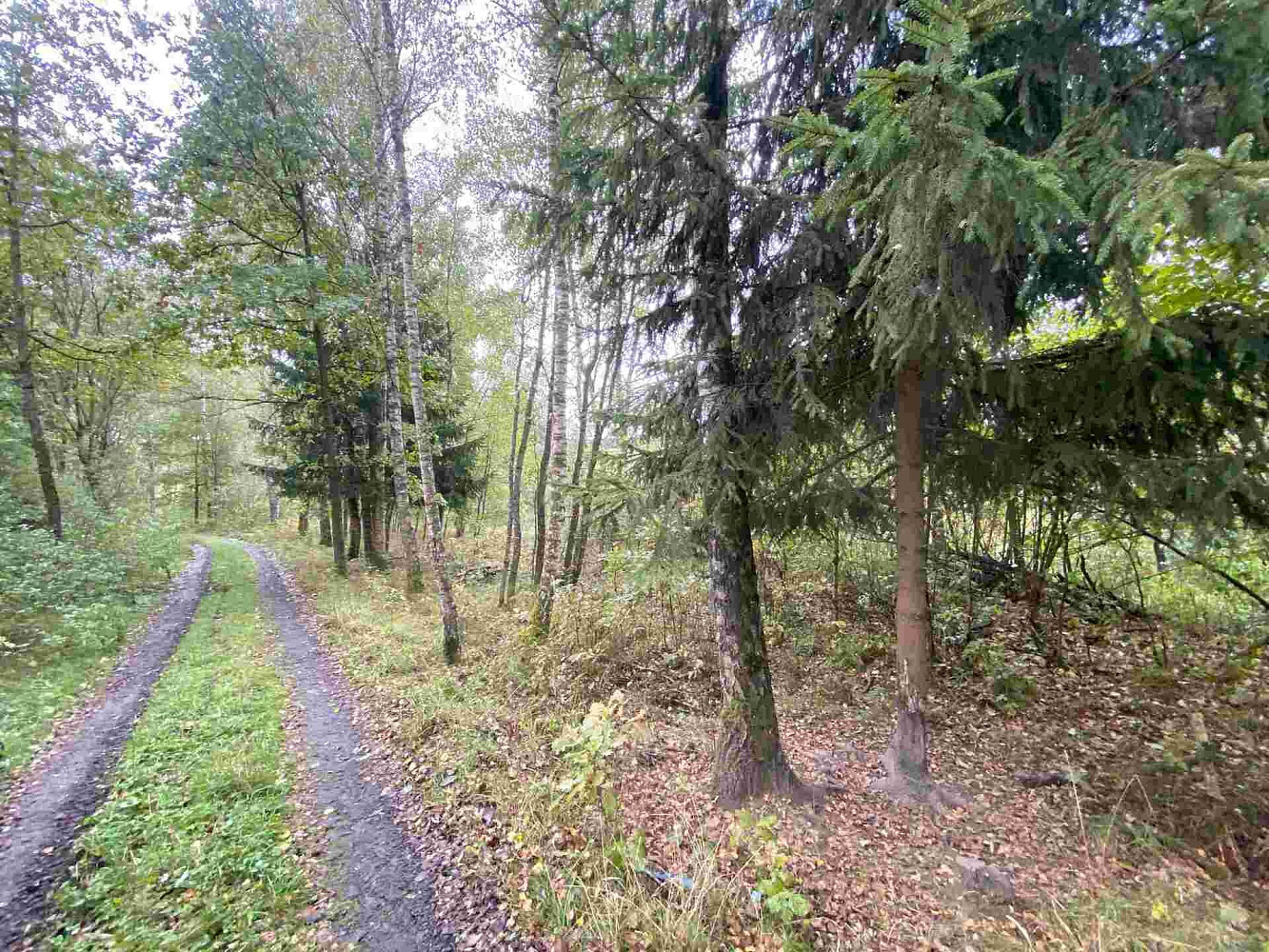 Prodej pozemku 10 042 m² – fotografie 5