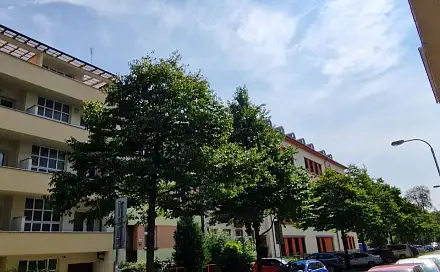 Pronájem bytu 2+1 86 m², Střední, Brno - Ponava