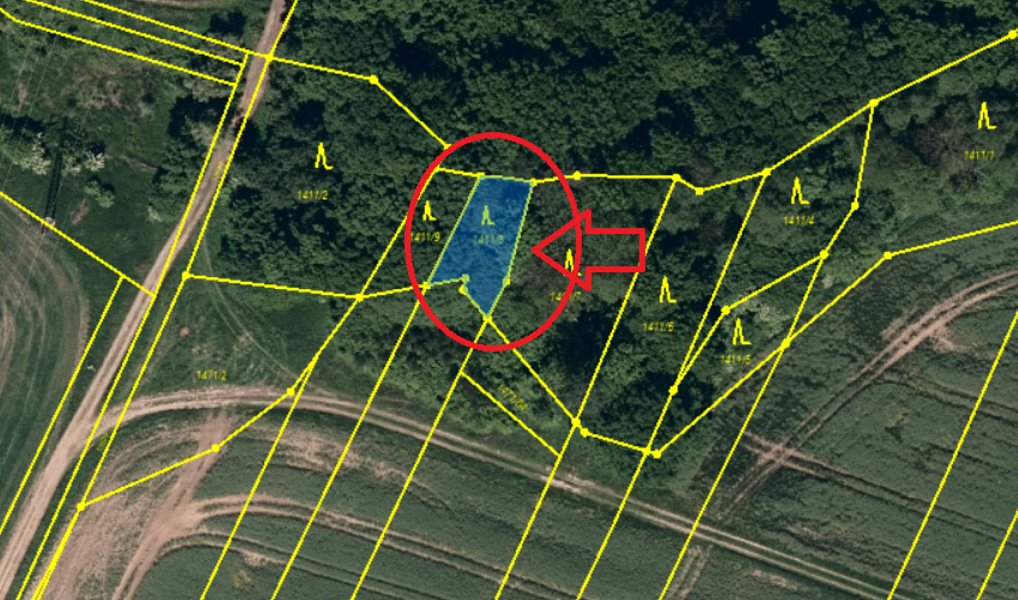 Prodej lesa 3 922 m², Velká Polom – náhled fotky 9