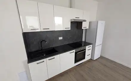 Pronájem bytu 3+kk 69 m², Františka Halase, Most