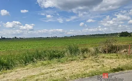 Prodej stavebního pozemku 4 536 m², Staňkovice, okres Louny