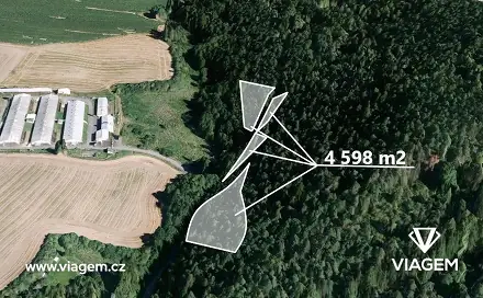 Prodej lesa 2 299 m², Manětín, okres Plzeň-sever