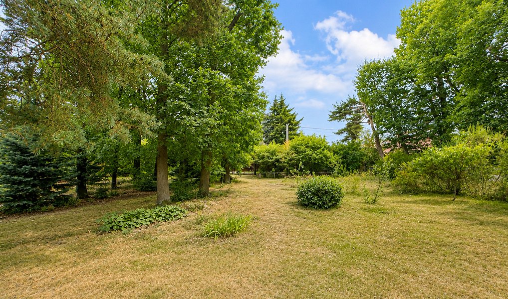 Prodej stavebního pozemku 2 039 m², Zvole – náhled fotky 5