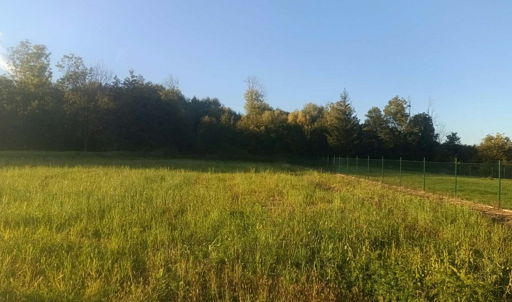 Prodej stavebního pozemku 905 m², Lutopecny – náhled fotky 3