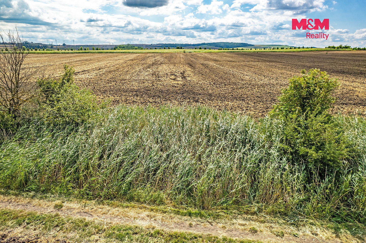 Prodej pole 25 490 m² – fotografie 3