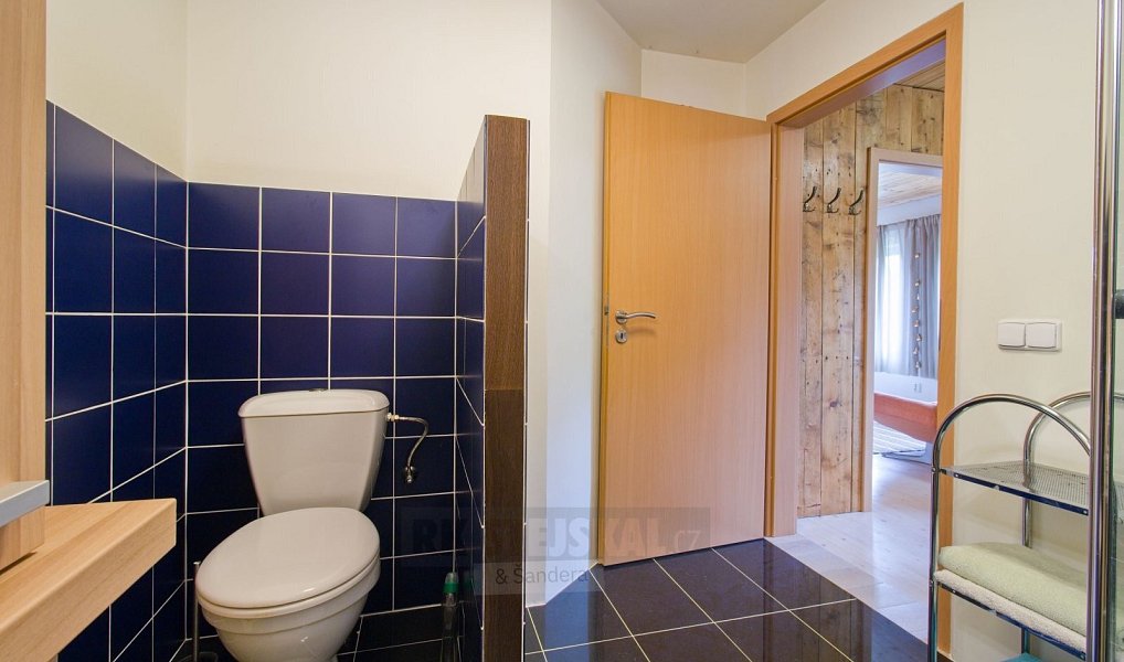 Prodej nájemního domu, činžáku 410 m², Moldava – náhled fotky 13