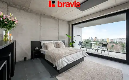 Pronájem bytu 1+kk 29 m², Královopolská, Brno - Žabovřesky