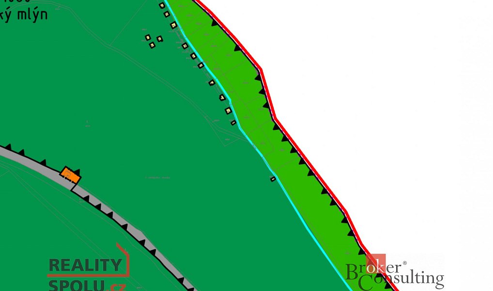 Prodej lesa 4 109 m², Plešnice – náhled fotky 10