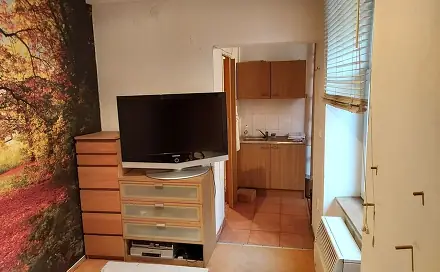 Prodej bytu 1+1 19 m², Svatoplukova, Prostějov