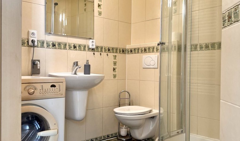 Pronájem bytu 1+kk 27 m², Plzeň – náhled fotky 3
