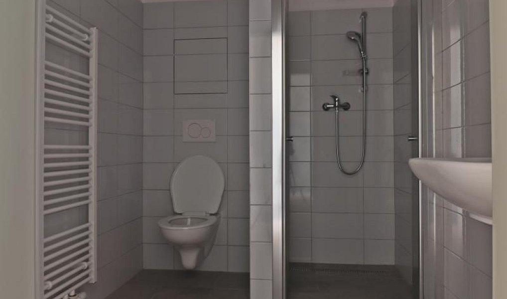 Pronájem bytu 1+kk 40 m², Brozany nad Ohří – náhled fotky 4