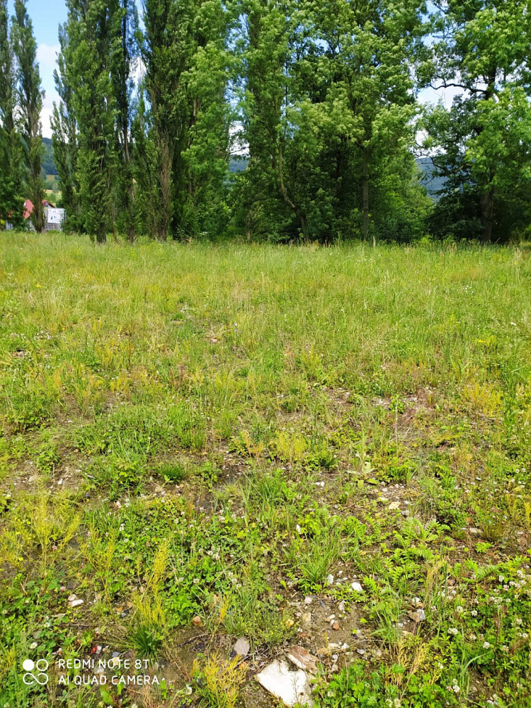 Prodej komerčního pozemku 5 093 m² – fotografie 5
