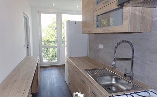 Pronájem bytu 2+1 56 m², Truhlářova, Ústí nad Labem - Střekov