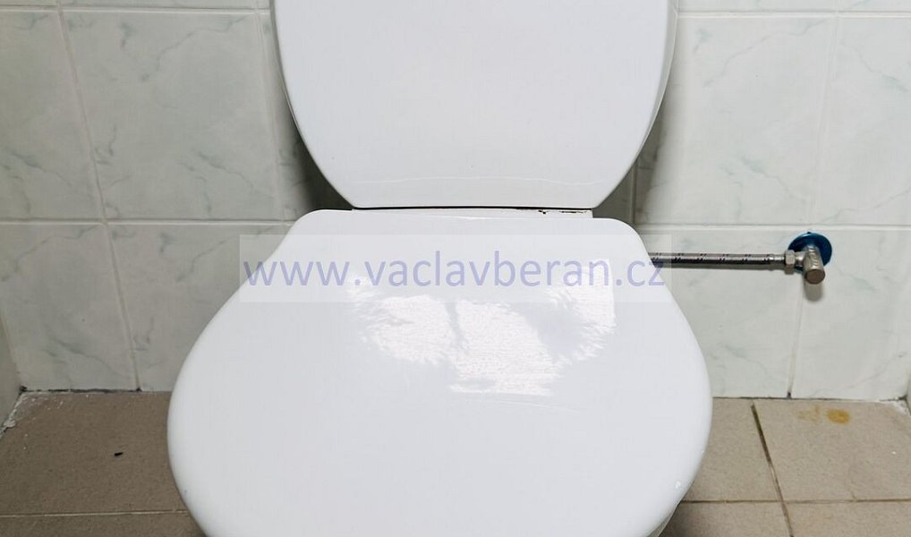Prodej domu 182 m² s pozemkem 140 m², Lanškroun – náhled fotky 10