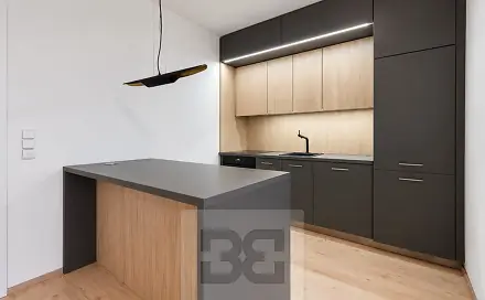 Pronájem bytu 2+kk 65 m², Davídkova, Praha 8 - Libeň