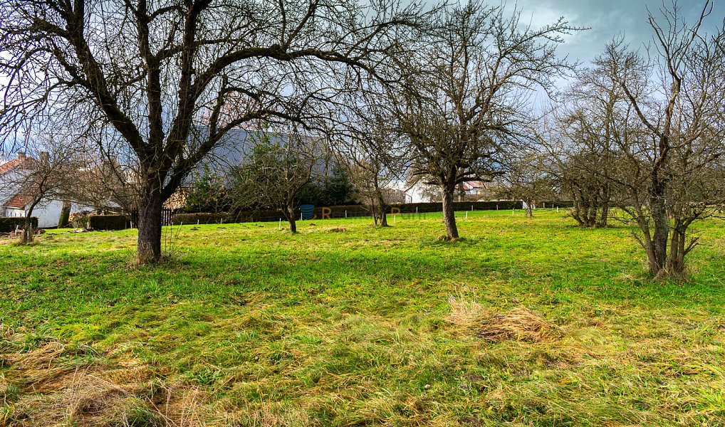 Prodej stavebního pozemku 1 515 m², Stádlec – náhled fotky 8