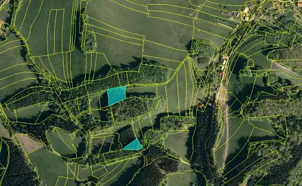 Prodej lesa 3 755 m², Lužná - Velešovice