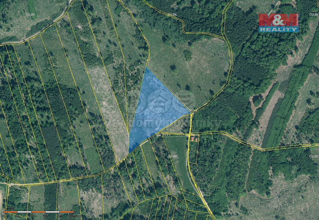 Prodej lesa 29 198 m²