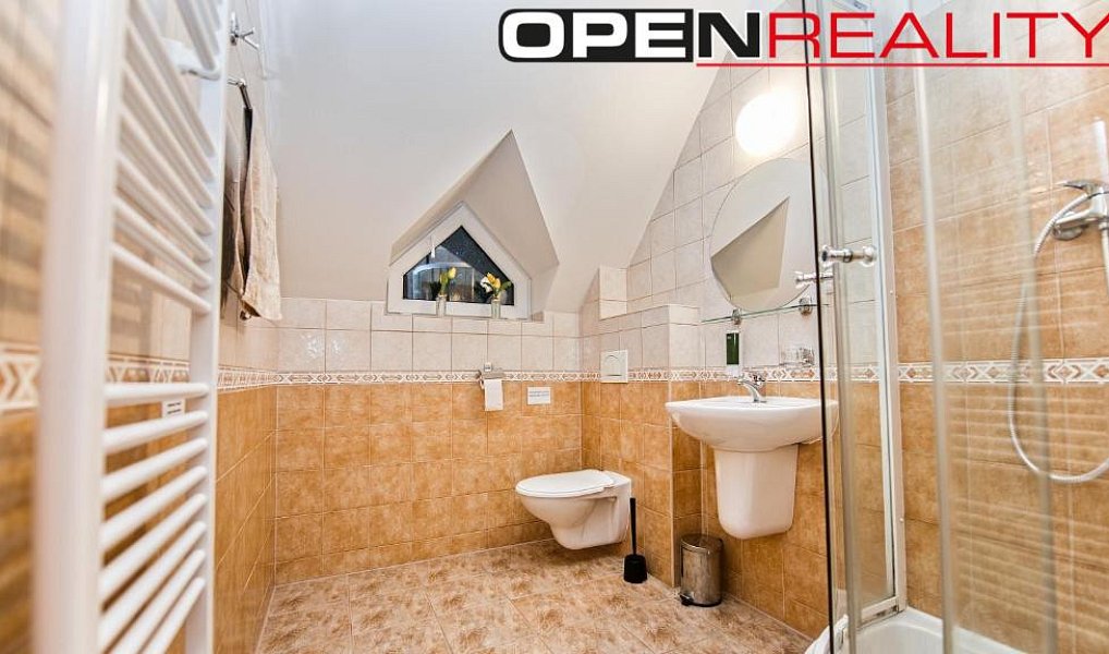 Prodej chaty/chalupy 280 m² s pozemkem 358 m², Dolní Moravice – náhled fotky 9