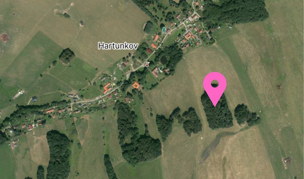 Prodej lesa 9 975 m², Benešov nad Černou – náhled fotky 3