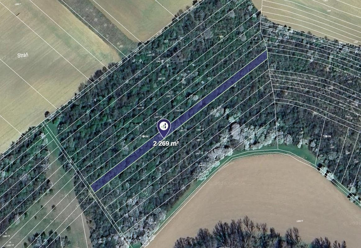 Prodej louky 2 269 m²