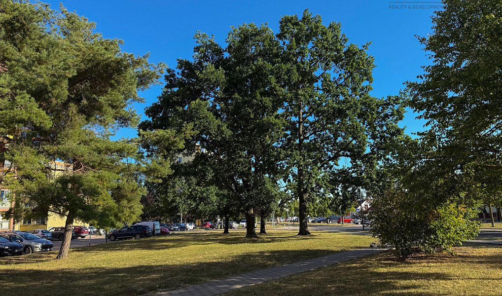 Prodej bytu 3+1 71 m², Nymburk – náhled fotky 29