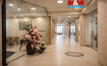 Pronájem obchodních prostor 38 m², Benešov
