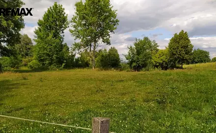 Prodej stavebního pozemku 7 880 m², Mladějov na Moravě, okres Svitavy