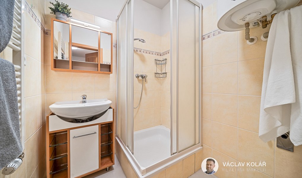 Prodej bytu 3+kk 96 m², Vítkovice – náhled fotky 32