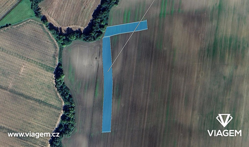 Prodej pole 1 239 m², Mutějovice – náhled fotky 2