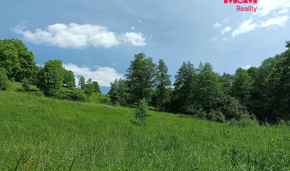 Prodej stavebního pozemku 3 276 m², Božanov – náhled fotky 4