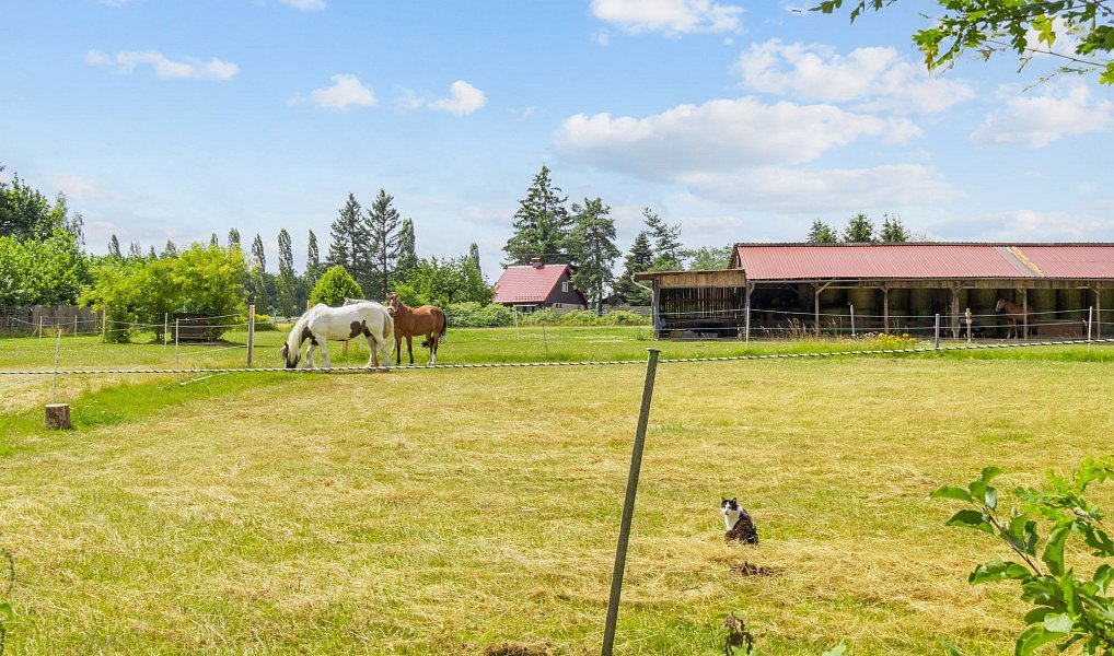 Prodej chaty/chalupy 90 m² s pozemkem 1 037 m², Svojetice – náhled fotky 22